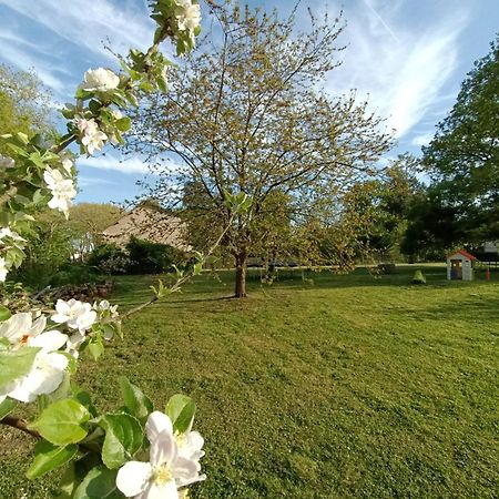 Gite Climatise Villa Esperanza 2 A 5 Personnes Valençay المظهر الخارجي الصورة