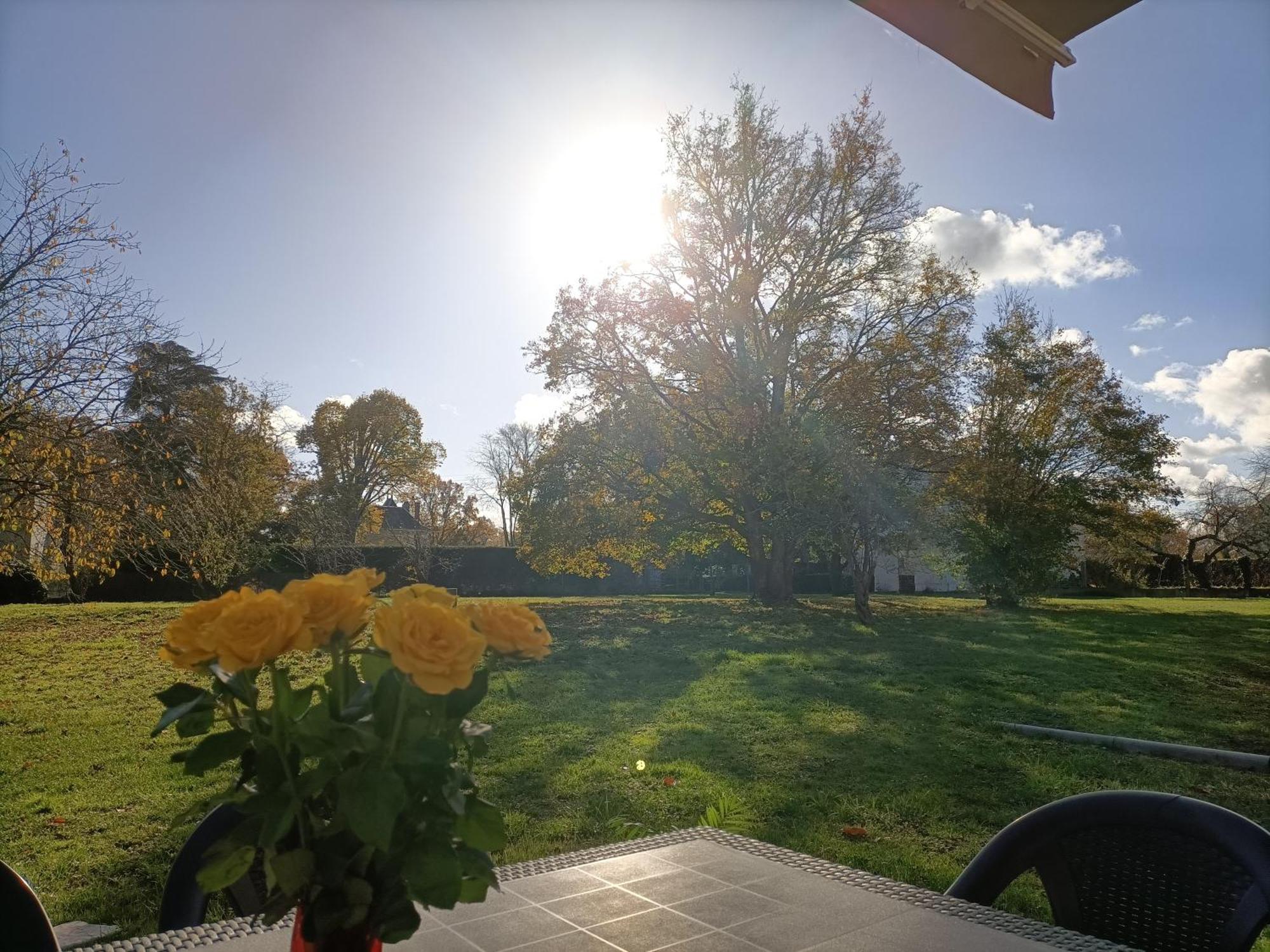 Gite Climatise Villa Esperanza 2 A 5 Personnes Valençay المظهر الخارجي الصورة