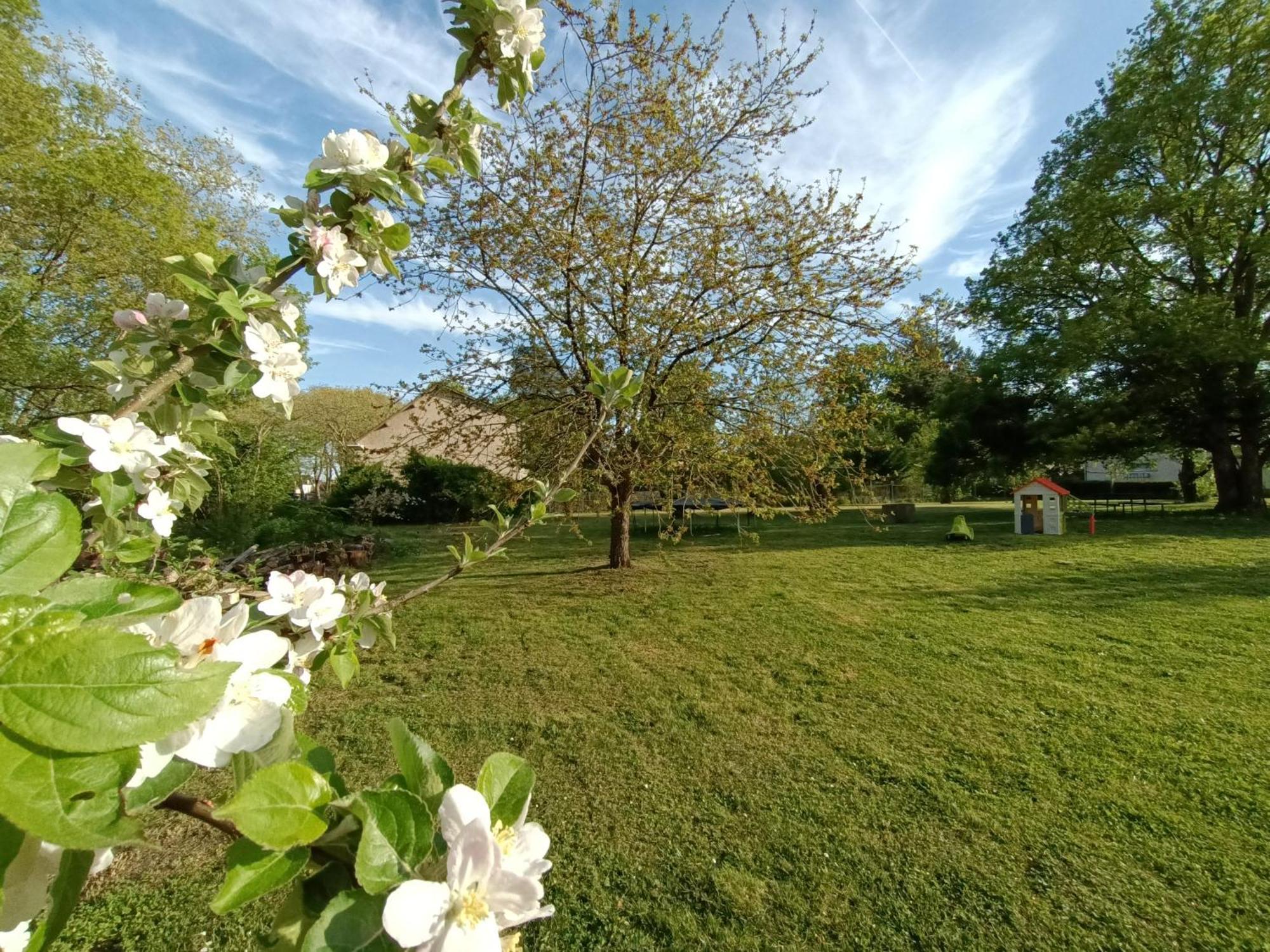 Gite Climatise Villa Esperanza 2 A 5 Personnes Valençay المظهر الخارجي الصورة