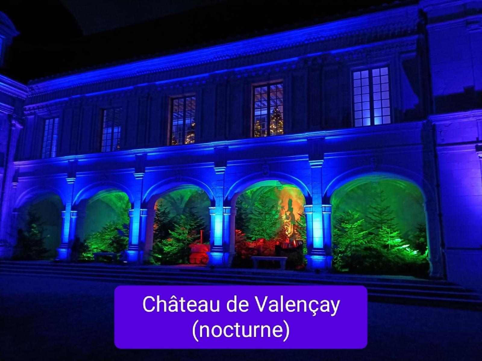 Gite Climatise Villa Esperanza 2 A 5 Personnes Valençay المظهر الخارجي الصورة