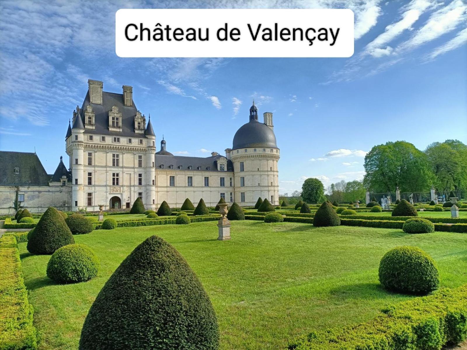 Gite Climatise Villa Esperanza 2 A 5 Personnes Valençay المظهر الخارجي الصورة